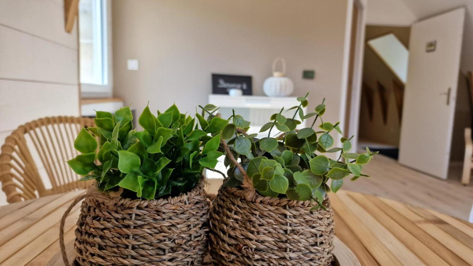 La Puy Mary Bed and Breakfast Le Falgoux Εξωτερικό φωτογραφία